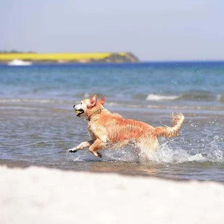 Haffblick Whg Ha52 * Boltenhagen